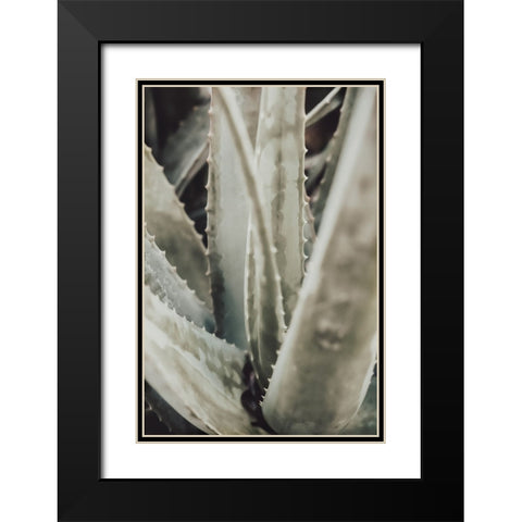 Studio III - Aloe 001 Black Modern Wood Framed Art Print with Double Matting by Studio III