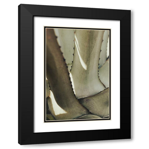 Studio III - Agave 002 Black Modern Wood Framed Art Print with Double Matting by Studio III