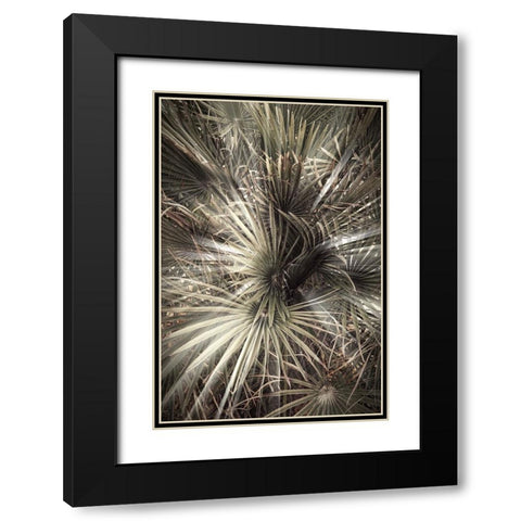Studio III - Palmblad 006 Black Modern Wood Framed Art Print with Double Matting by Studio III