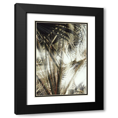 Studio III - Palmblad 003 Black Modern Wood Framed Art Print with Double Matting by Studio III