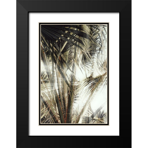 Studio III - Palmblad 003 Black Modern Wood Framed Art Print with Double Matting by Studio III