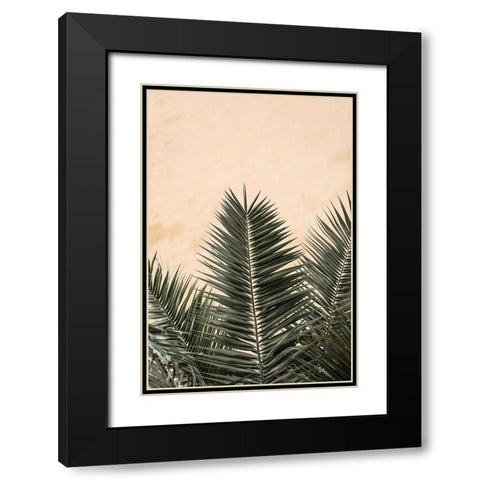 Studio III - Palm leaves and Wall Black Modern Wood Framed Art Print with Double Matting by Studio III