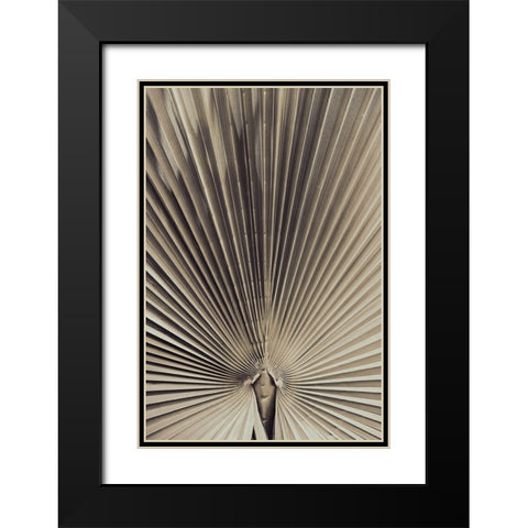 Studio III - Palmblad 001 Black Modern Wood Framed Art Print with Double Matting by Studio III
