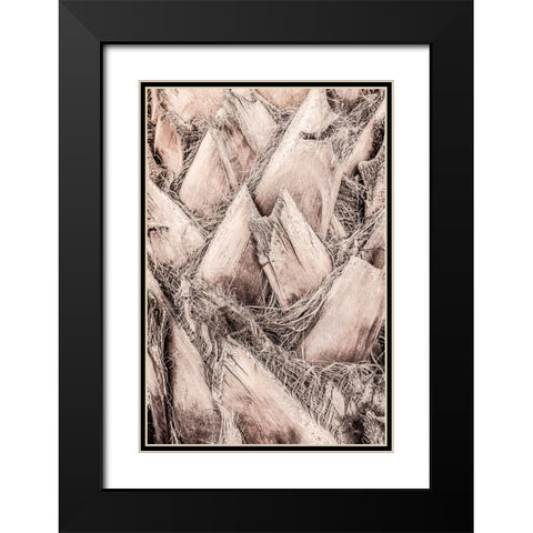 Studio III - Solaris 07 Black Modern Wood Framed Art Print with Double Matting by Studio III