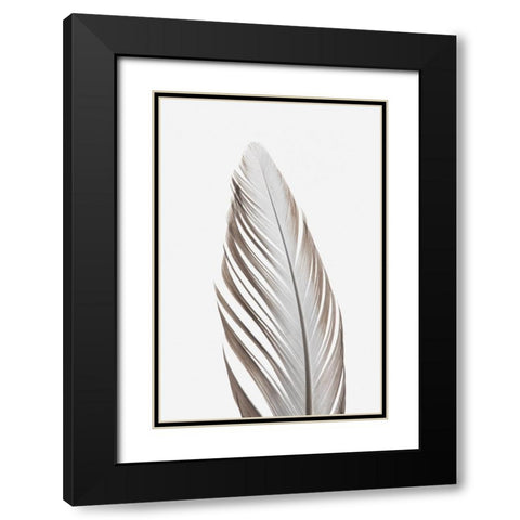 Studio III - Feather 003  Black Modern Wood Framed Art Print with Double Matting by Studio III