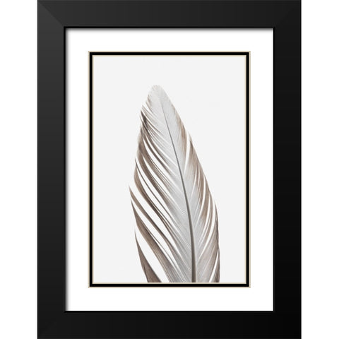 Studio III - Feather 003  Black Modern Wood Framed Art Print with Double Matting by Studio III