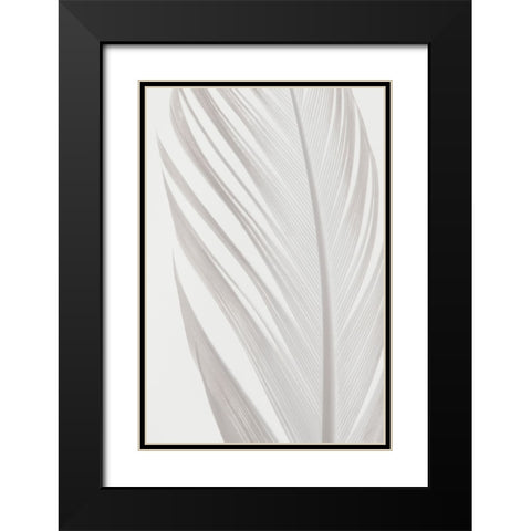 Studio III - Feather 006 Black Modern Wood Framed Art Print with Double Matting by Studio III