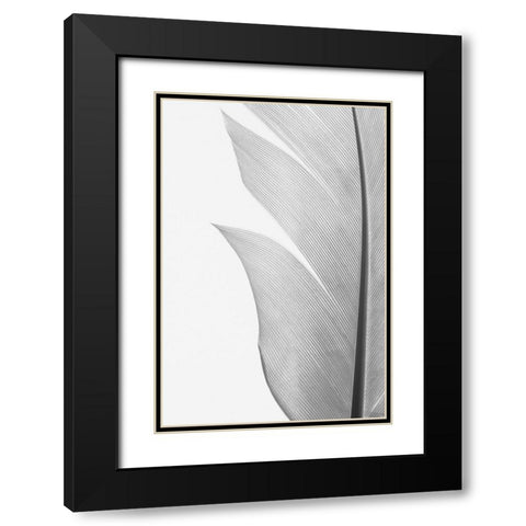 Studio III - Feather 004 Black Modern Wood Framed Art Print with Double Matting by Studio III