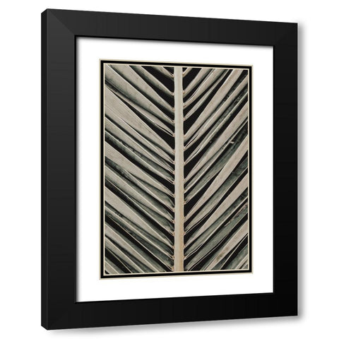 Studio III - Palmblad 005  Black Modern Wood Framed Art Print with Double Matting by Studio III