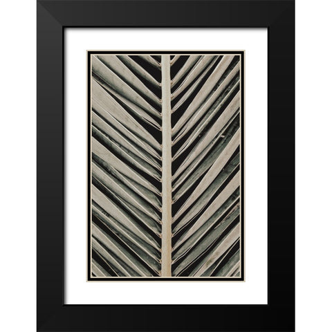 Studio III - Palmblad 005  Black Modern Wood Framed Art Print with Double Matting by Studio III
