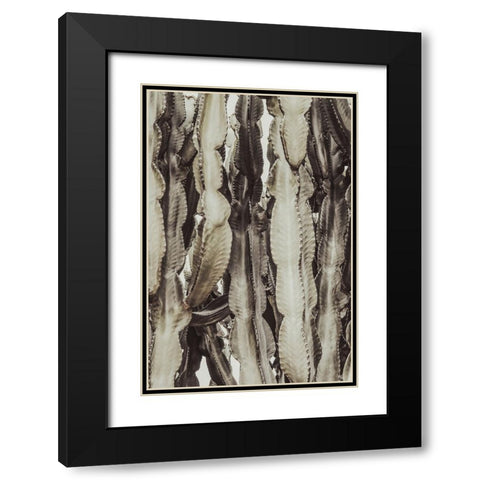 Studio III - Cactus 001  Black Modern Wood Framed Art Print with Double Matting by Studio III