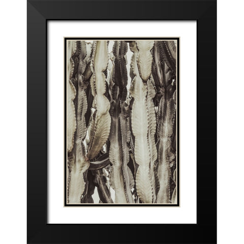 Studio III - Cactus 001  Black Modern Wood Framed Art Print with Double Matting by Studio III