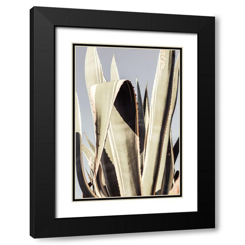 Studio III - Agave 001 Black Modern Wood Framed Art Print with Double Matting by Studio III