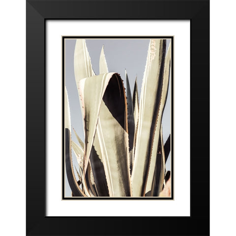 Studio III - Agave 001 Black Modern Wood Framed Art Print with Double Matting by Studio III