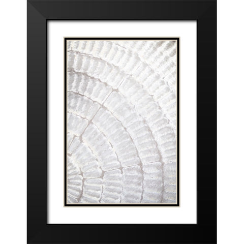 Studio III - Pattern Plate I  Black Modern Wood Framed Art Print with Double Matting by Studio III