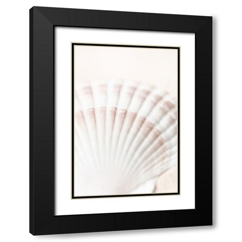 Studio III - Shell  Black Modern Wood Framed Art Print with Double Matting by Studio III