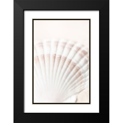 Studio III - Shell  Black Modern Wood Framed Art Print with Double Matting by Studio III