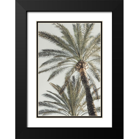 Studio III - Palm 005  Black Modern Wood Framed Art Print with Double Matting by Studio III