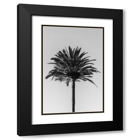 Studio III - Palm 003 Black Modern Wood Framed Art Print with Double Matting by Studio III