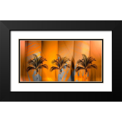 Tropicana Black Modern Wood Framed Art Print with Double Matting by PI Studio