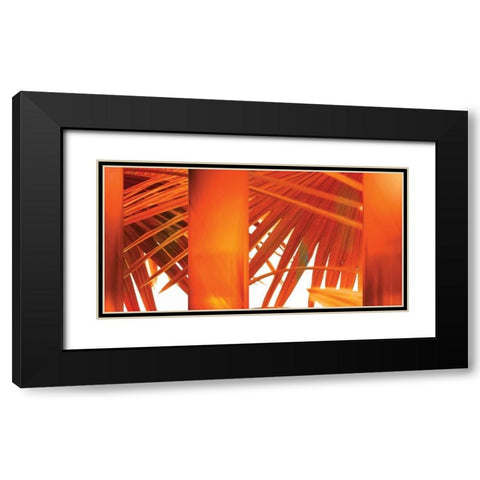 Juicy Black Modern Wood Framed Art Print with Double Matting by PI Studio