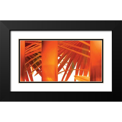 Juicy Black Modern Wood Framed Art Print with Double Matting by PI Studio