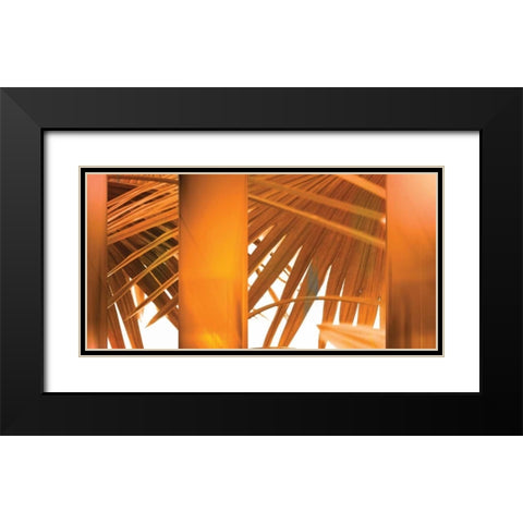 Tangerine Black Modern Wood Framed Art Print with Double Matting by PI Studio