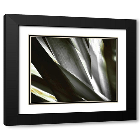 Transparent Black Modern Wood Framed Art Print with Double Matting by PI Studio