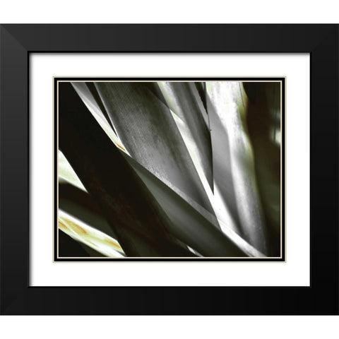 Transparent Black Modern Wood Framed Art Print with Double Matting by PI Studio