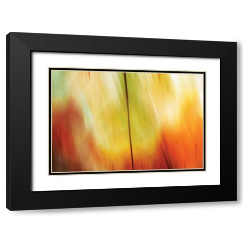 Tie Dye I Black Modern Wood Framed Art Print with Double Matting by PI Studio