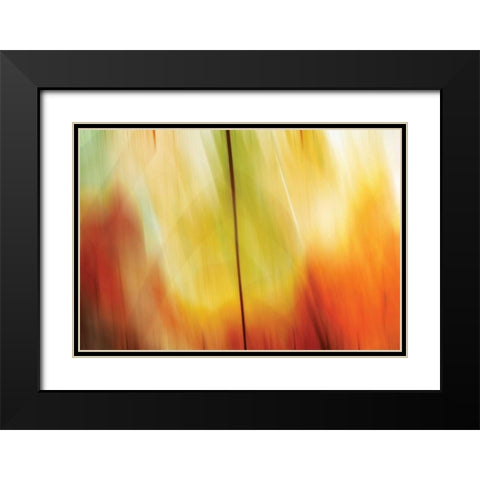 Tie Dye I Black Modern Wood Framed Art Print with Double Matting by PI Studio