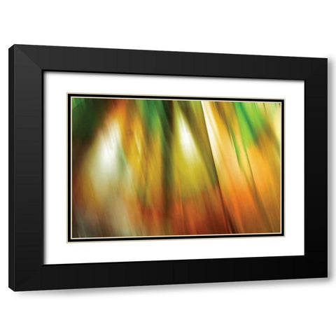 Tie Dye II Black Modern Wood Framed Art Print with Double Matting by PI Studio