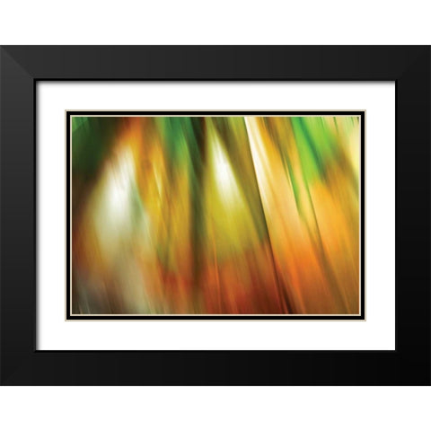 Tie Dye II Black Modern Wood Framed Art Print with Double Matting by PI Studio