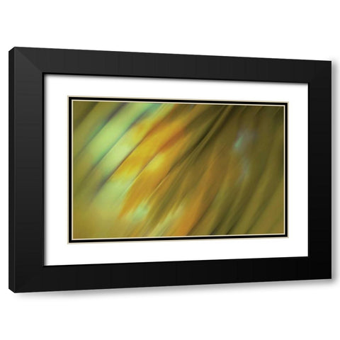 Tie Dye III Black Modern Wood Framed Art Print with Double Matting by PI Studio