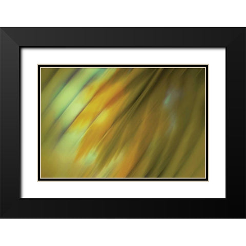 Tie Dye III Black Modern Wood Framed Art Print with Double Matting by PI Studio