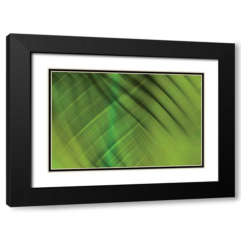 Tie Dye IV Black Modern Wood Framed Art Print with Double Matting by PI Studio