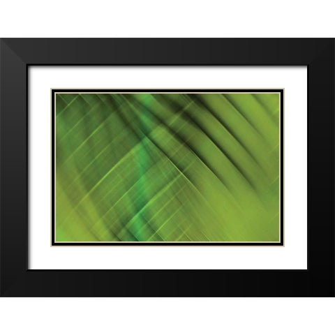 Tie Dye IV Black Modern Wood Framed Art Print with Double Matting by PI Studio