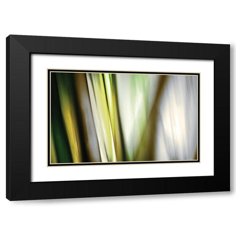 Organic II Black Modern Wood Framed Art Print with Double Matting by PI Studio