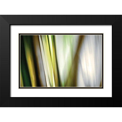 Organic II Black Modern Wood Framed Art Print with Double Matting by PI Studio