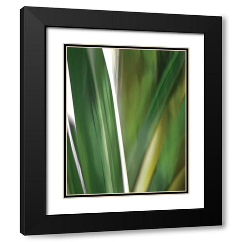 Organic IV Black Modern Wood Framed Art Print with Double Matting by PI Studio