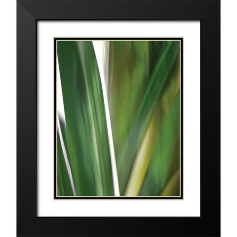 Organic IV Black Modern Wood Framed Art Print with Double Matting by PI Studio