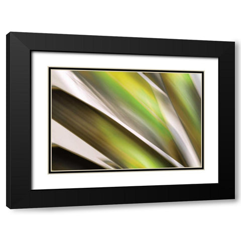 Organic VI Black Modern Wood Framed Art Print with Double Matting by PI Studio