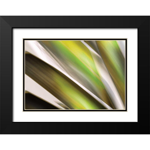 Organic VI Black Modern Wood Framed Art Print with Double Matting by PI Studio