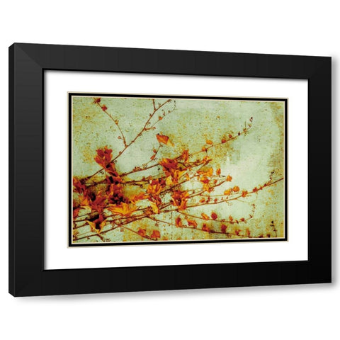 Persimmon Black Modern Wood Framed Art Print with Double Matting by PI Studio