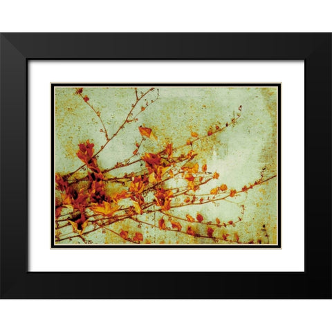 Persimmon Black Modern Wood Framed Art Print with Double Matting by PI Studio