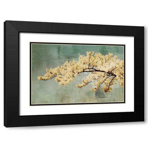 Snowfall Black Modern Wood Framed Art Print with Double Matting by PI Studio