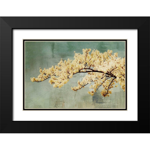 Snowfall Black Modern Wood Framed Art Print with Double Matting by PI Studio