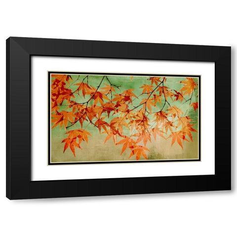 Canopy Black Modern Wood Framed Art Print with Double Matting by PI Studio