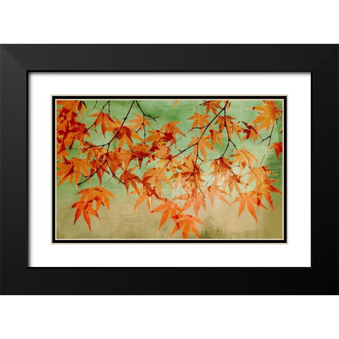 Canopy Black Modern Wood Framed Art Print with Double Matting by PI Studio