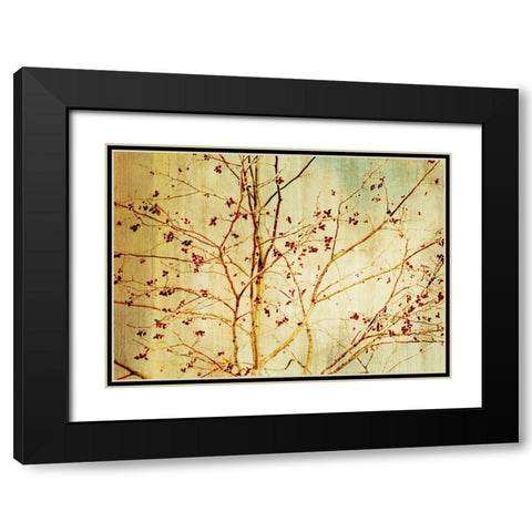 Etched Black Modern Wood Framed Art Print with Double Matting by PI Studio